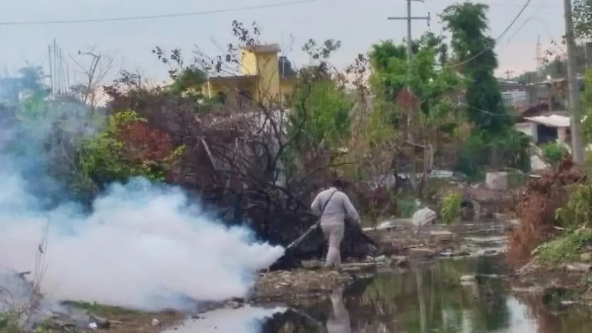 FUMIGACIÓN DENGUE